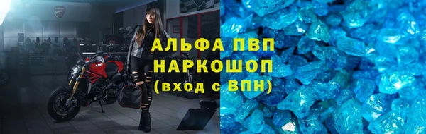 прущий лед Богданович